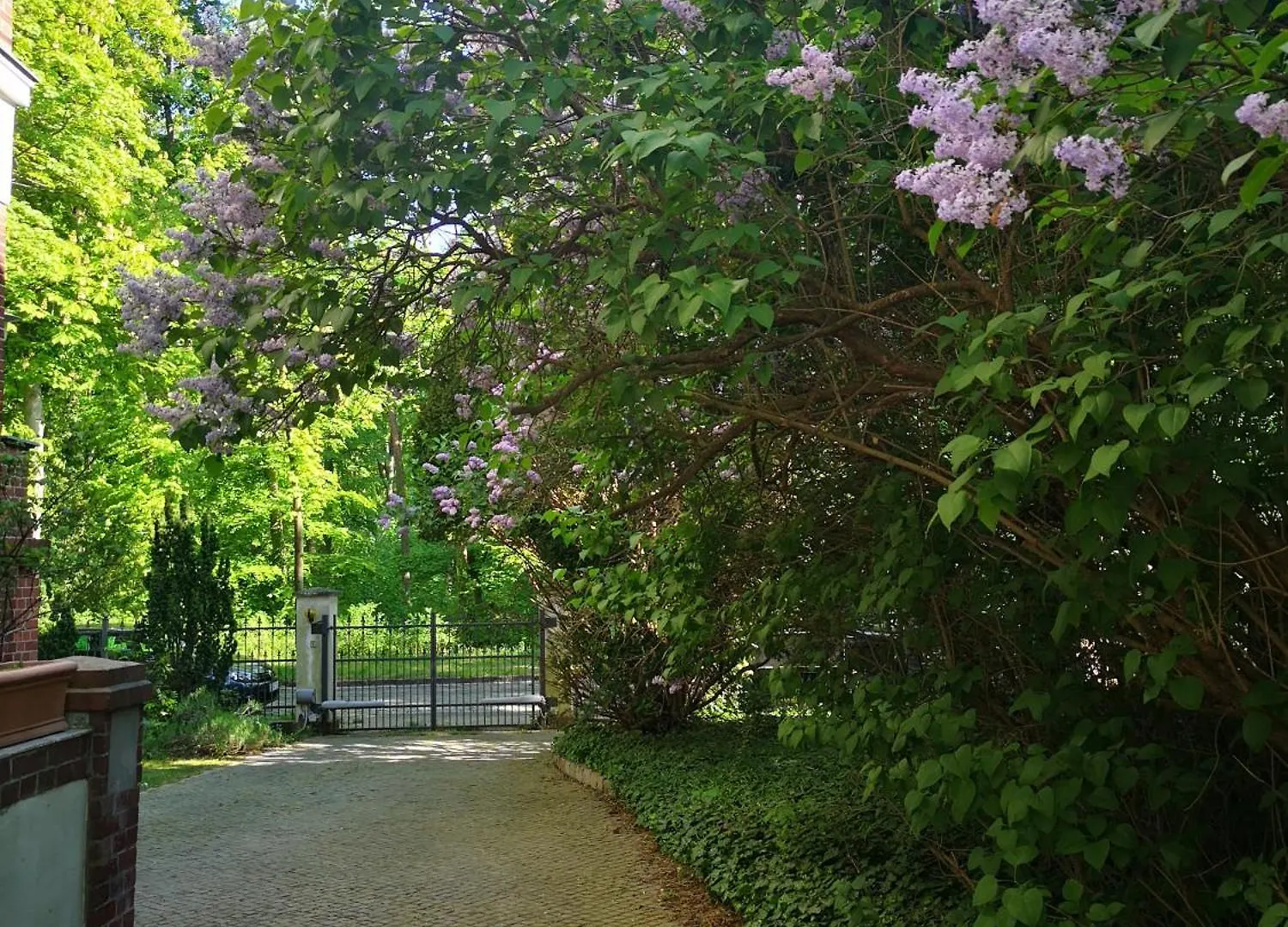 Gruenderzeitvilla In Berlin Zehlendorf